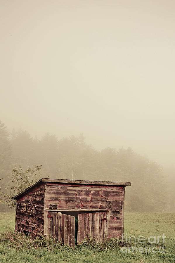 Misty morning around an old wooden shed Photograph by Edward Fielding