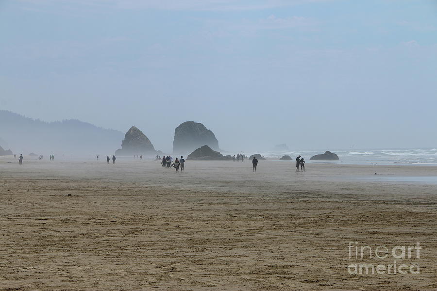 Misty Morning At Cannon Beach Photograph by Christiane Schulze Art And Photography