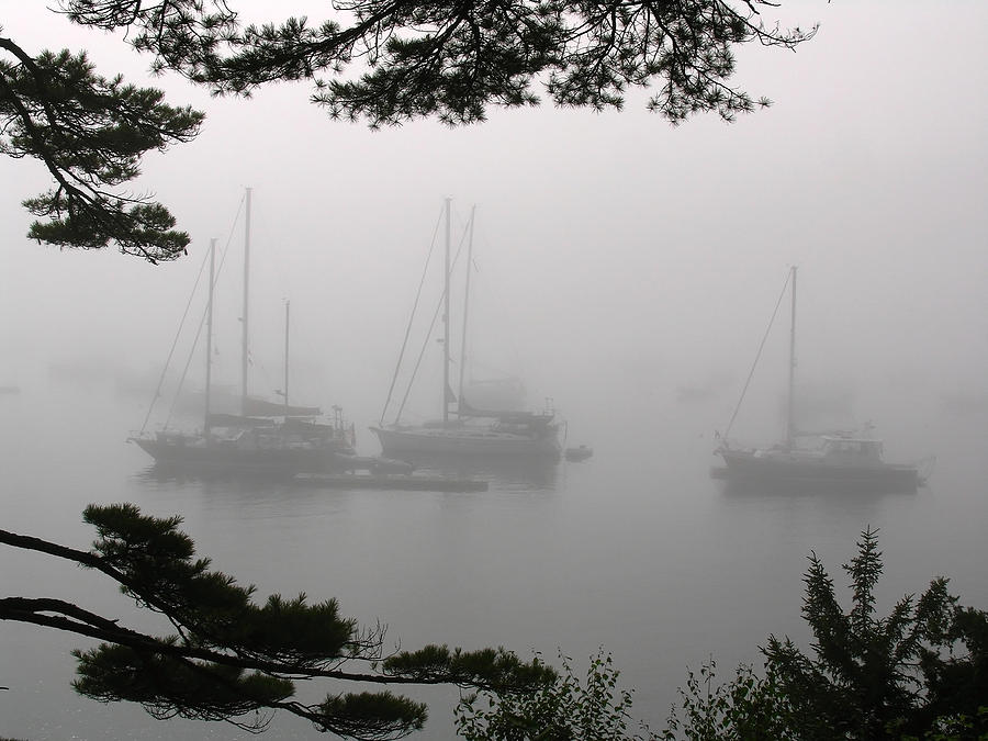 Misty Morning at Northeast Harbor Photograph by Juergen Roth
