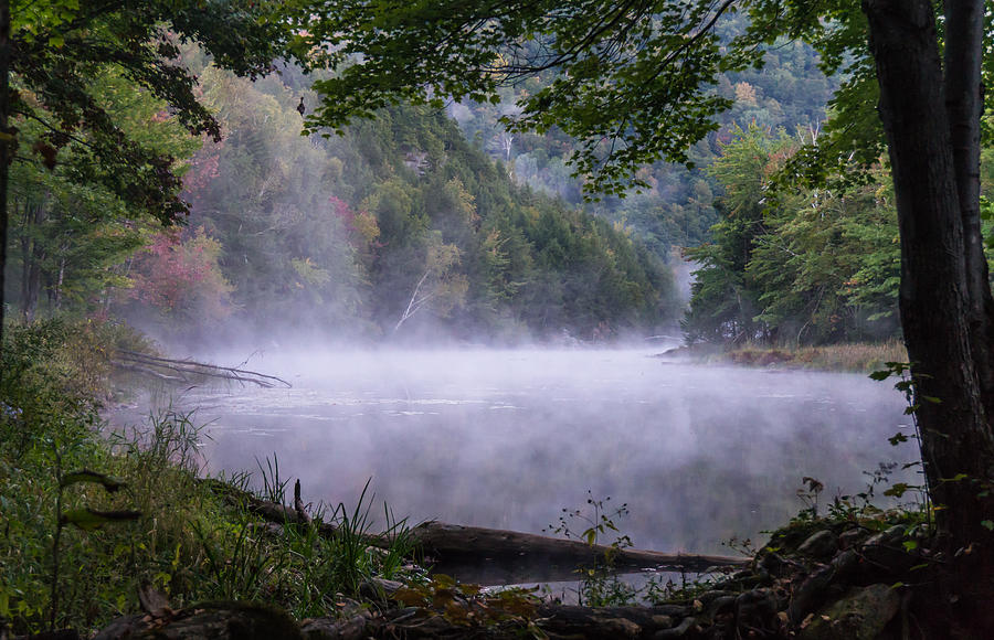 Misty Morning At Ponds Shore Photograph by Ann Moore