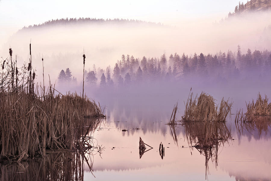Misty Morning at Vaseux Lake Photograph by John Poon