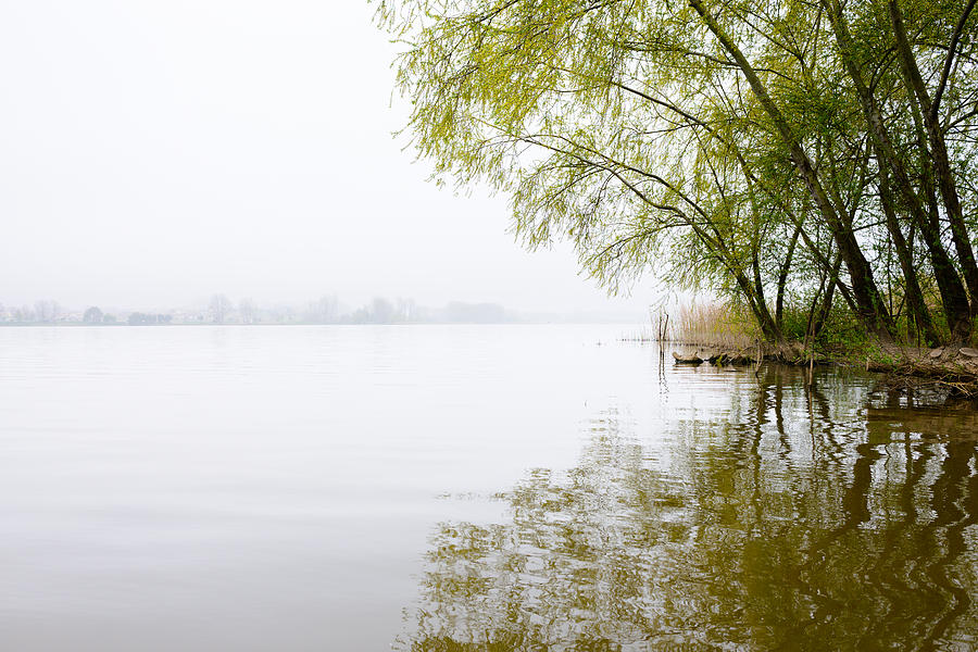Tree Photograph - Misty Morning By The Lake by Marco Oliveira