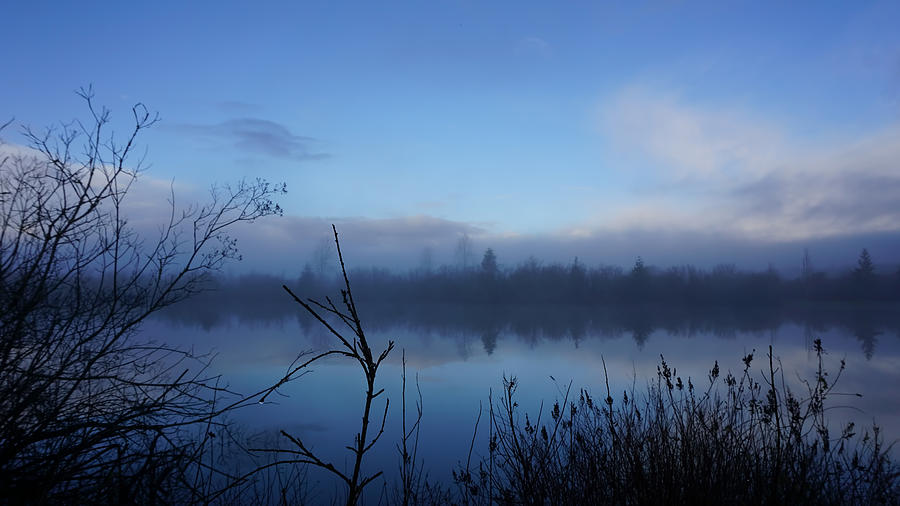 Misty Morning Blue Photograph by Cathy Anderson