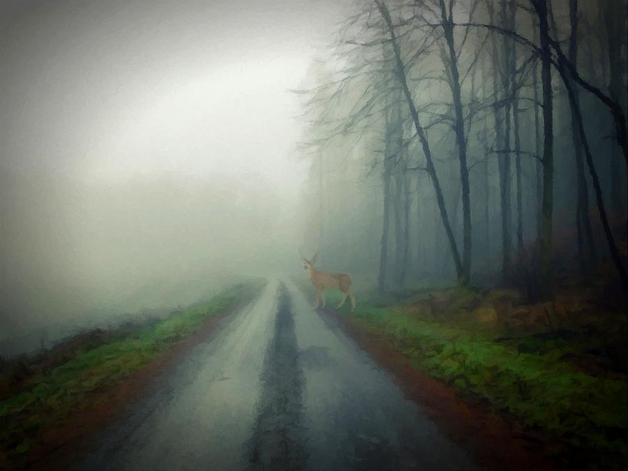 Misty Morning Deer Photograph by David Dehner