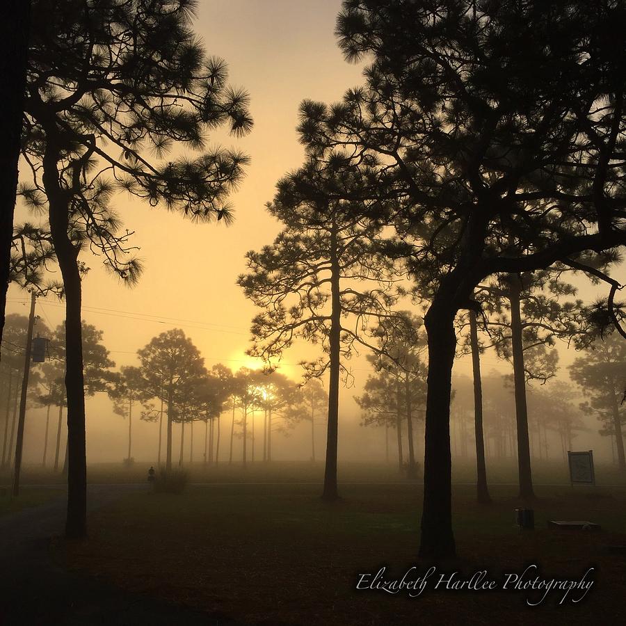 Misty Morning Photograph by Elizabeth Harllee