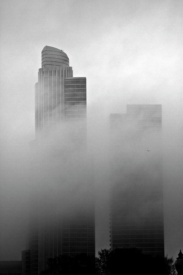 Misty Morning Flight Photograph by Joseph Noonan