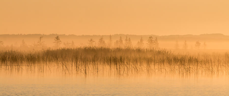 Sunset Photograph - Misty Morning Floating Bog Island on Boy Lake by Patti Deters