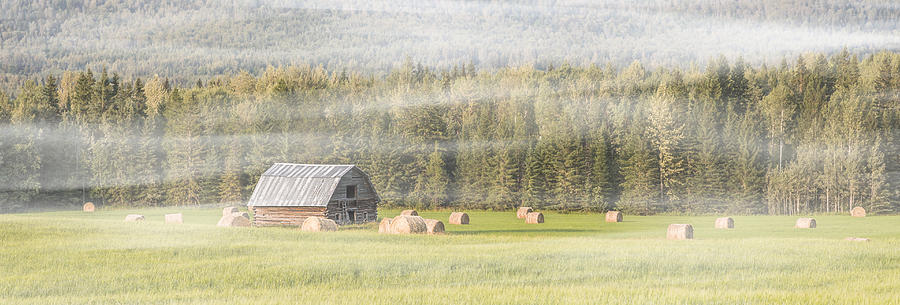 Misty Morning Haybales Photograph by Patti Deters