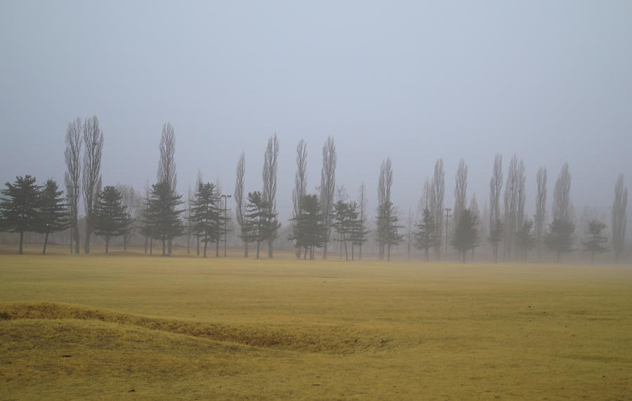 Misty Morning Photograph by Hyuntae Kim