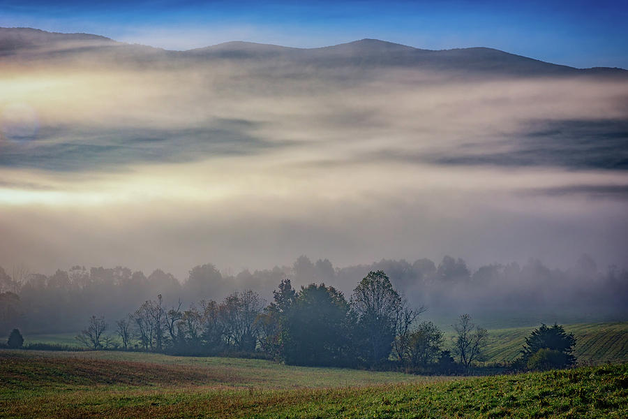 Tree Photograph - Misty Morning in Cades Cove by Rick Berk