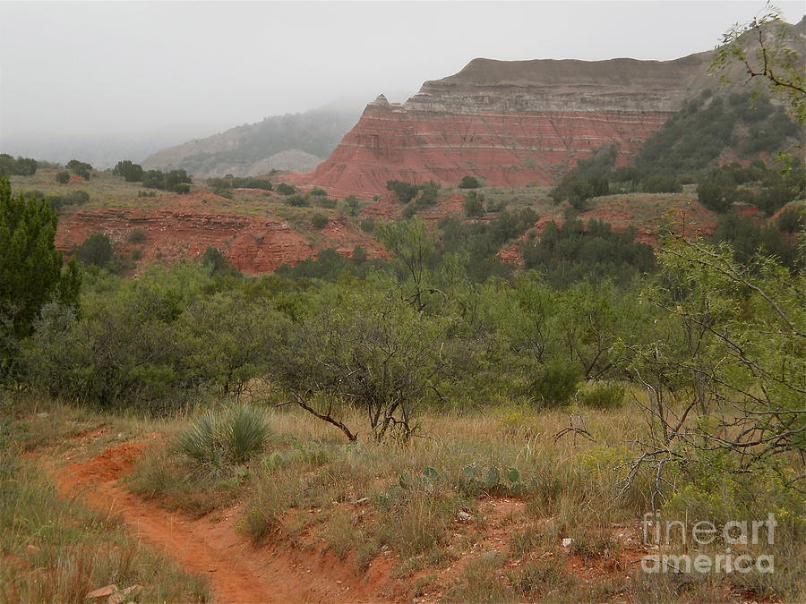 Misty Morning in Palo Duro Canyon Photograph by Aimee Mouw