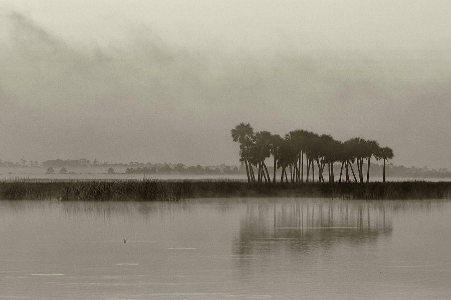 Misty Morning in the Central Florida Wetlands Photograph by Stefan Mazzola