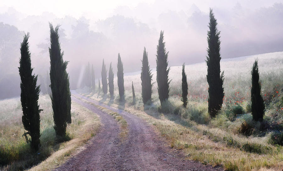 Landscape Photograph - Misty Morning in Tuscany by Marion McCristall