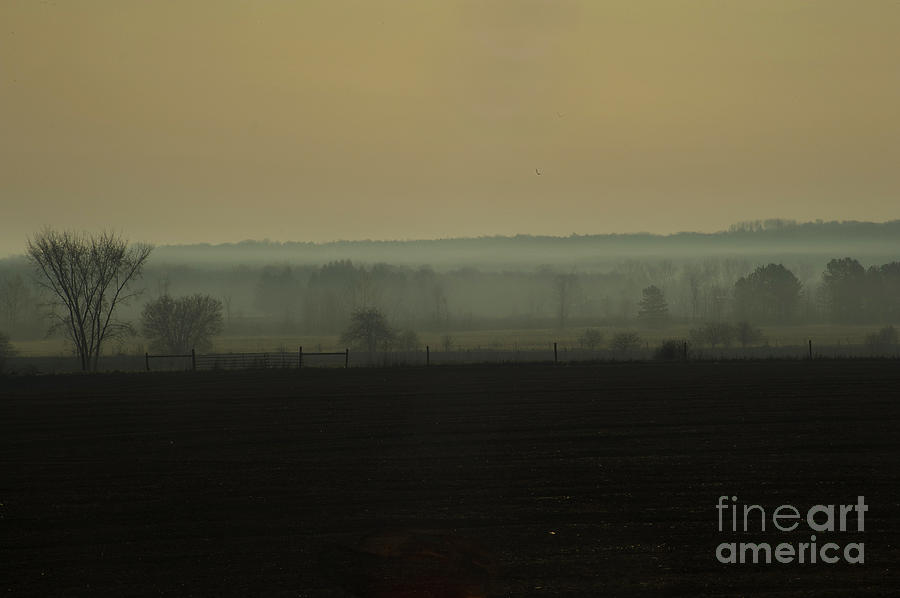 Spring Photograph - Misty Morning in Wyevale by Elaine Mikkelstrup