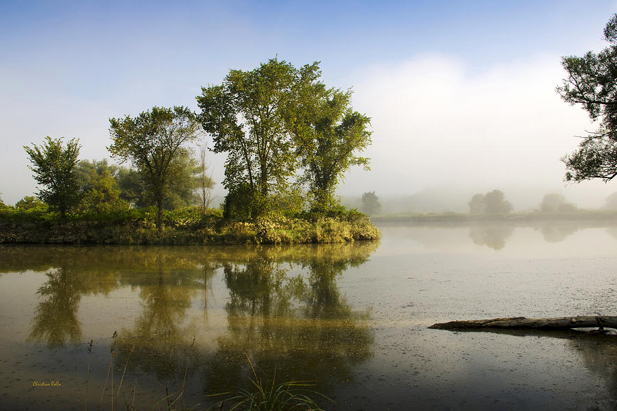 Misty Morning Island Trees Photograph by Christina Rollo