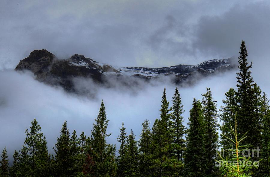 Misty Morning Jasper National Park Photograph
