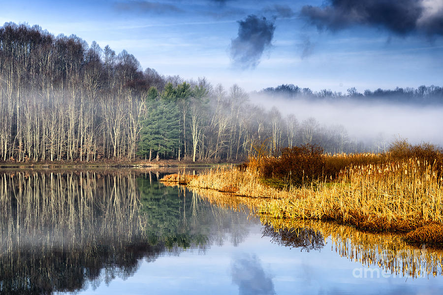 Fall Photograph - Misty Morning Lake by Thomas R Fletcher