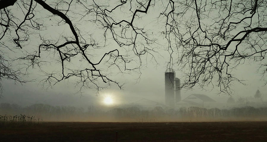 Misty Morning Photograph by Lori Deiter