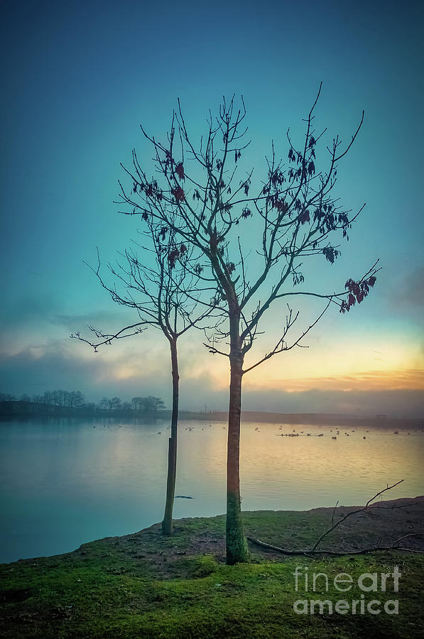 Misty morning Photograph by Mariusz Talarek