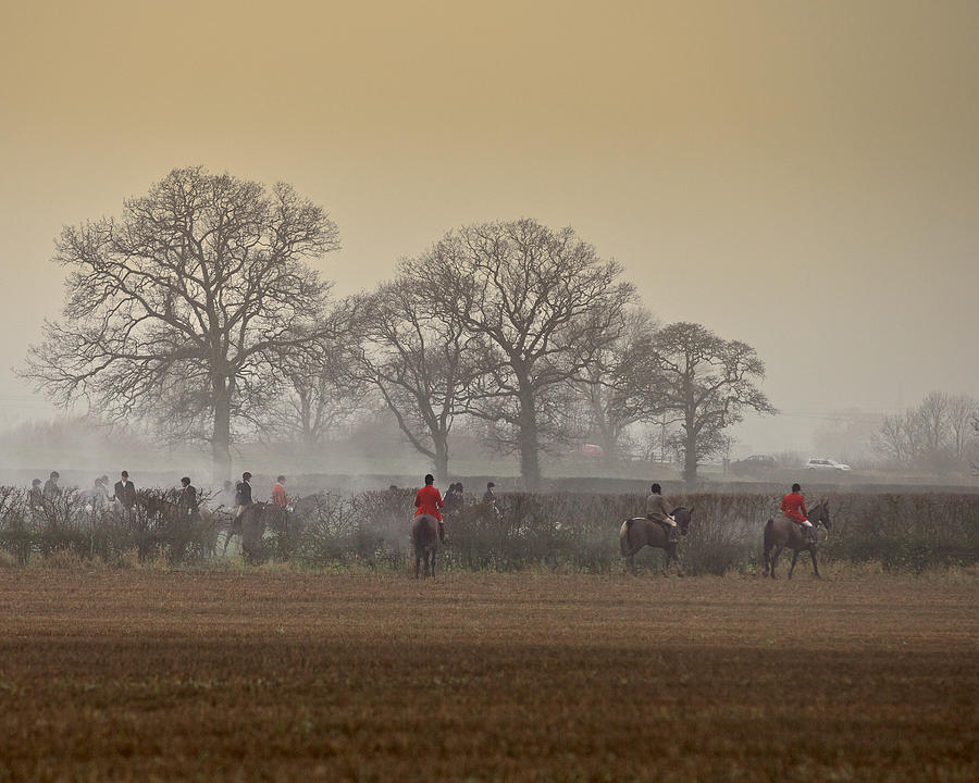 Misty Morning Photograph by Mark Egerton