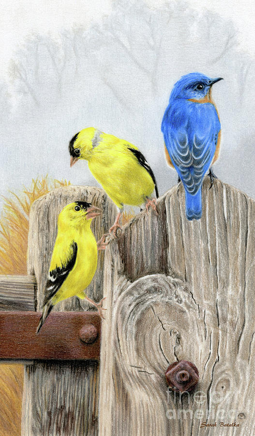 Birds Painting - Misty Morning Meadow- Goldfinches And Bluebird by Sarah Batalka Birds Painting - Misty Morning Meadow- Goldfinches And Bluebird by Sarah Batalka