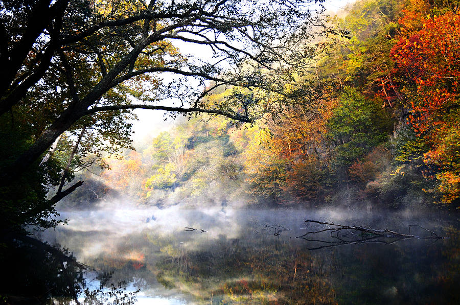 Current River Photograph - Misty Morning on the Current by Marty Koch