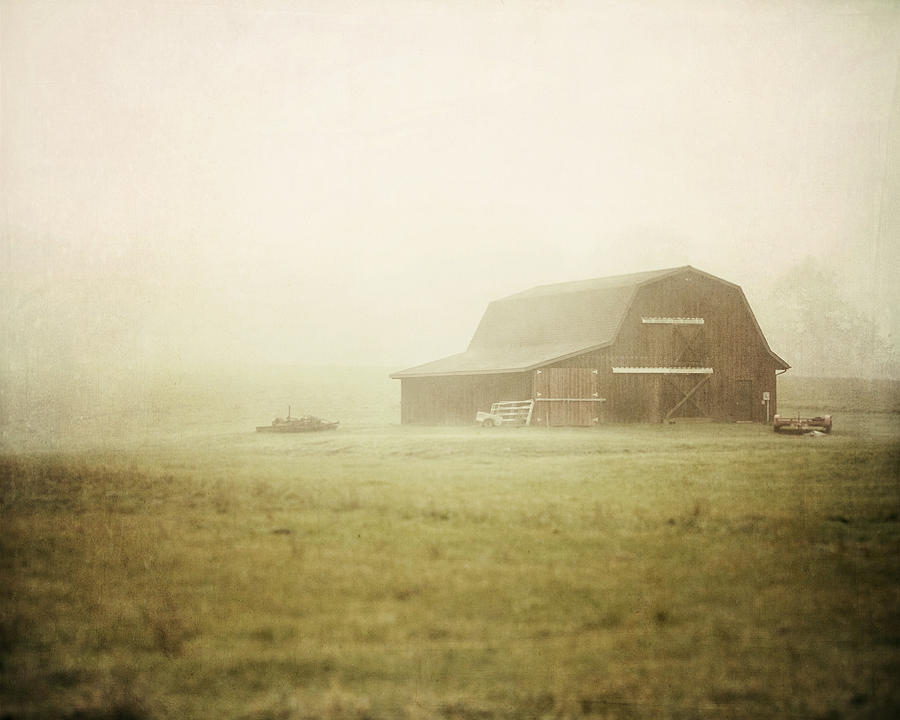 Nature Photograph - Misty Morning on the Farm by Lisa R