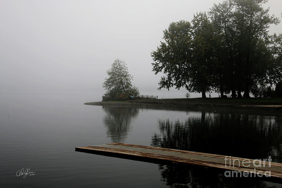 Misty Morning on the Lake Photograph by Cheryl Rose