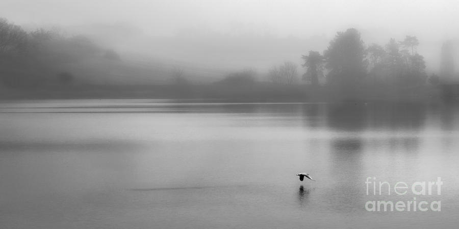 Misty Morning on The Lake Photograph by Linsey Williams