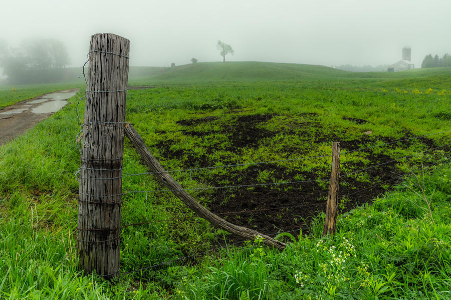 Misty Morning Pasture Photograph by Chris Bordeleau