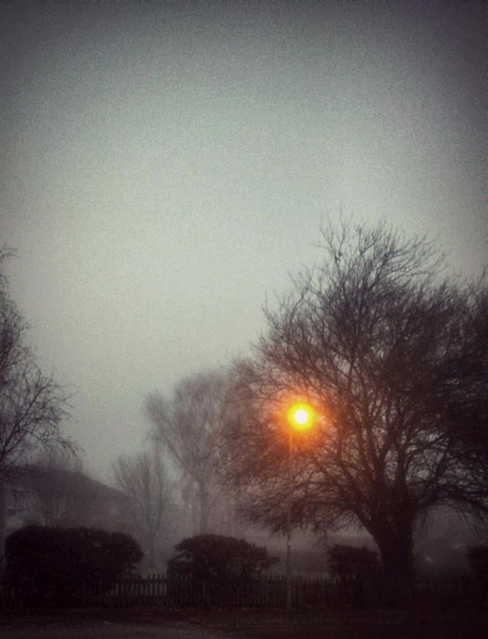 Misty Morning Photograph by Sophia Gaki Artworks