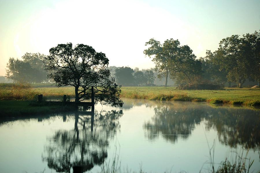 Misty Morning Pond Digital Art by Michael Thomas