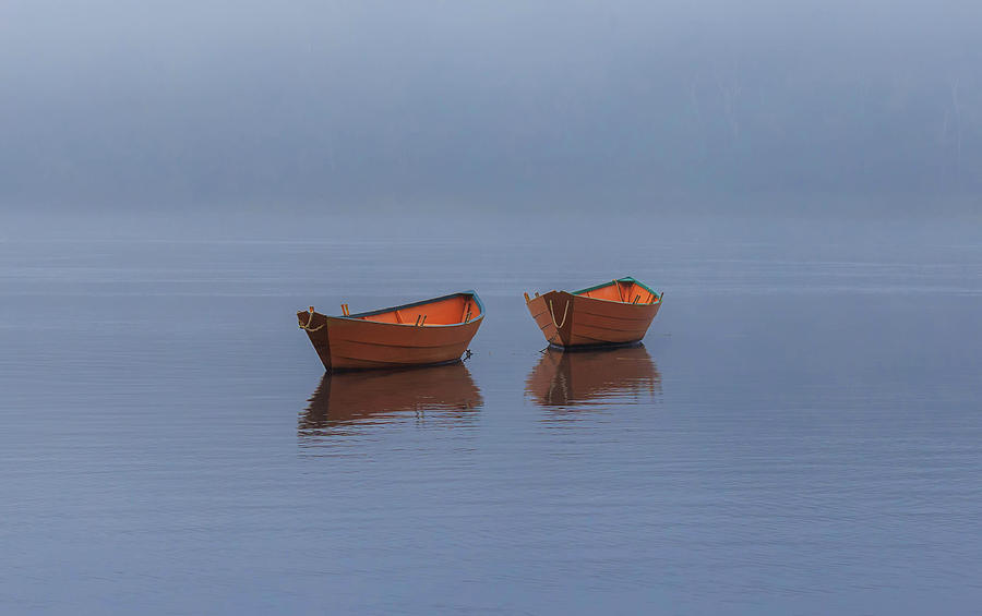 Misty Morning Photograph by Rob Davies