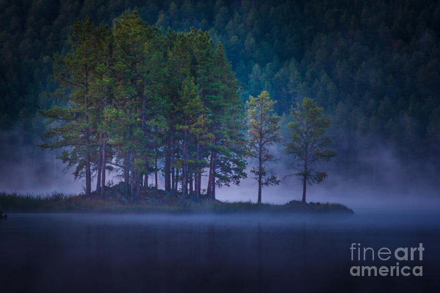 Misty Morning Photograph by Steven Reed