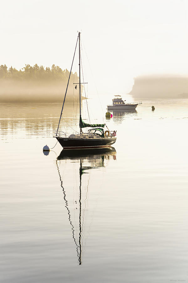 Misty Morning Stillness Photograph by Marty Saccone
