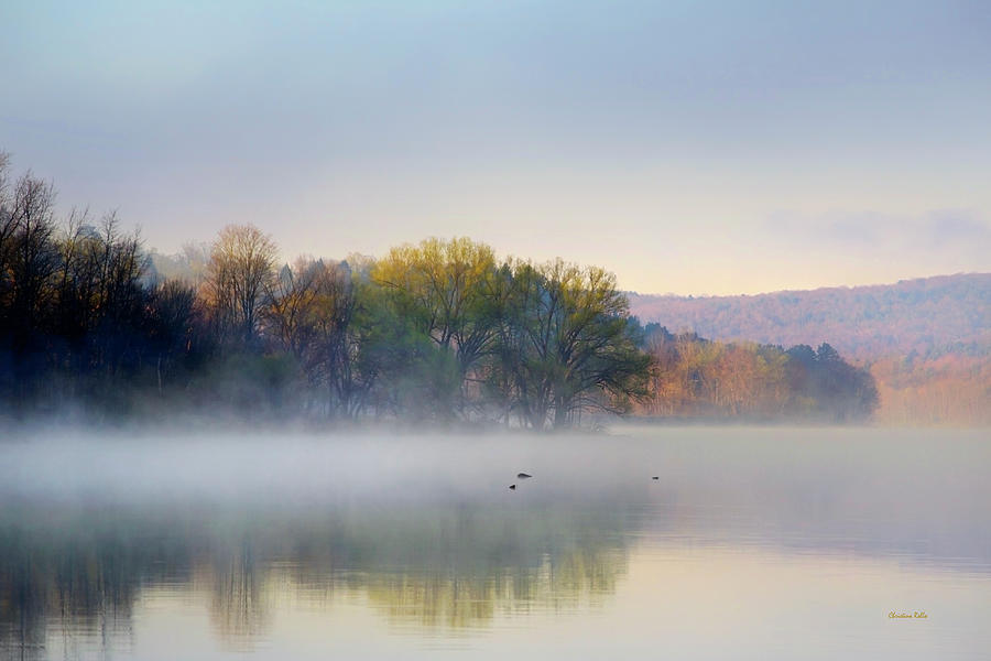 Nature Photograph - Misty Morning Sunrise by Christina Rollo