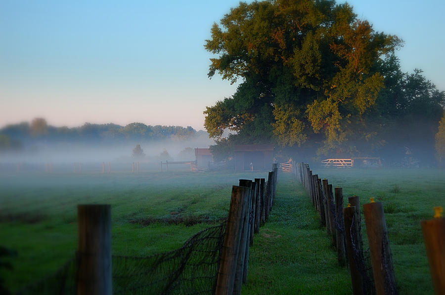 Misty Morning Sunrise Photograph by James DeFazio