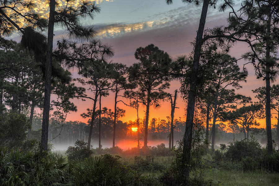 Misty Morning Sunrise Photograph by Justin Battles