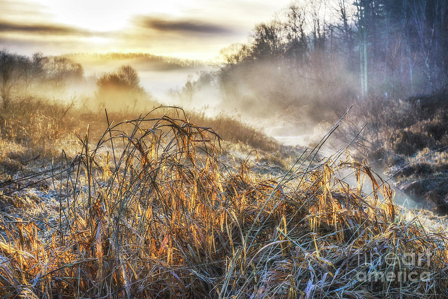 Misty Morning Photograph by Thomas R Fletcher