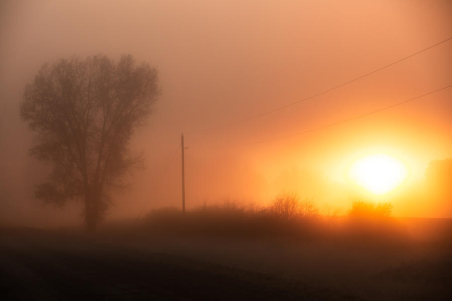 Misty Morning Photograph by Todd Klassy