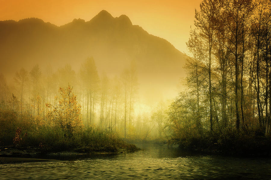 Misty Morning Photograph by Mountain Dreams