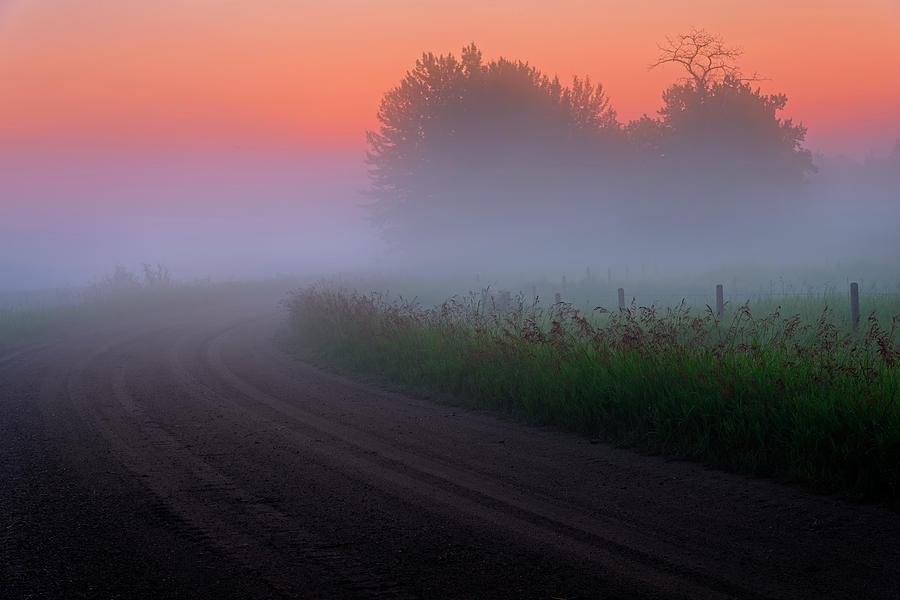 Misty Mornings Photograph by Dan Jurak