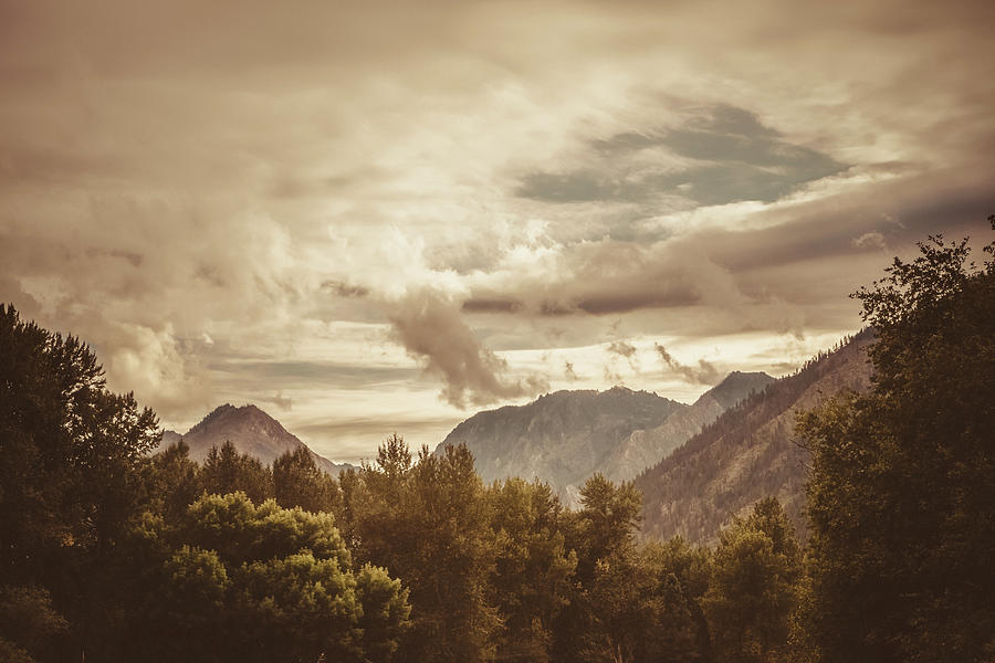Mountain Photograph - Misty Mountain Morning by Debi Bishop