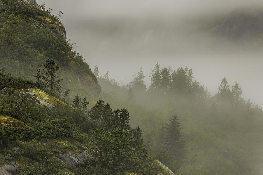 Misty Mountain Morning Photograph by Mark Harrington