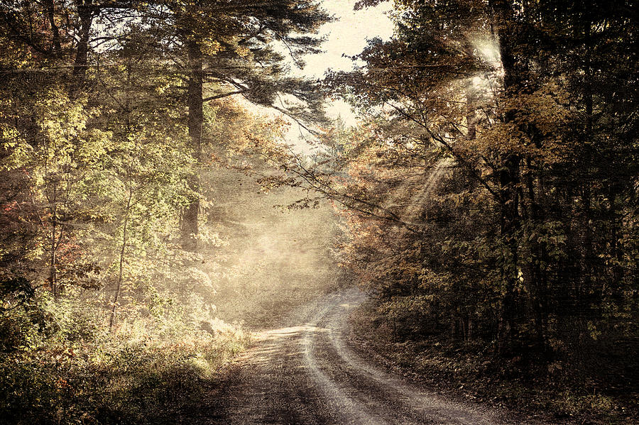 Misty Mountain Road Photograph