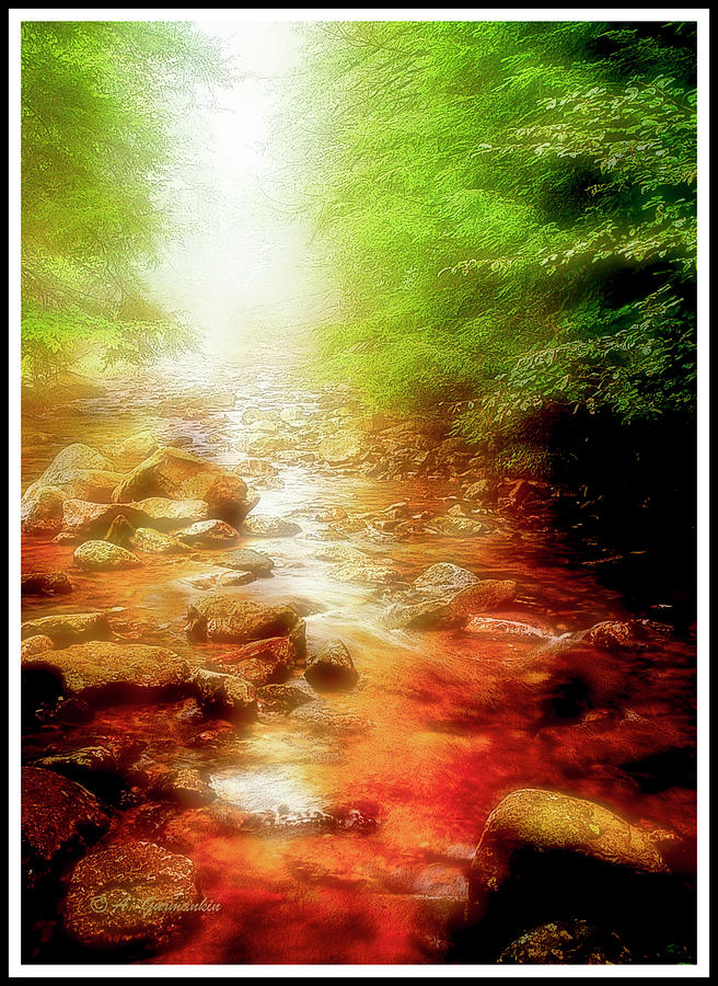 Misty Mountain Stream Photograph by A Macarthur Gurmankin