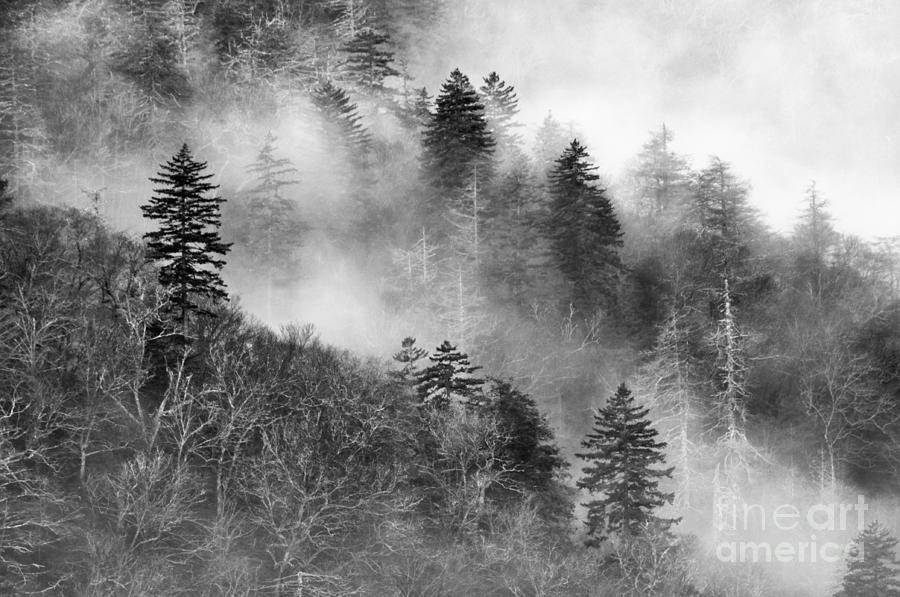 Misty Mountains - D008248-bw Photograph by Daniel Dempster