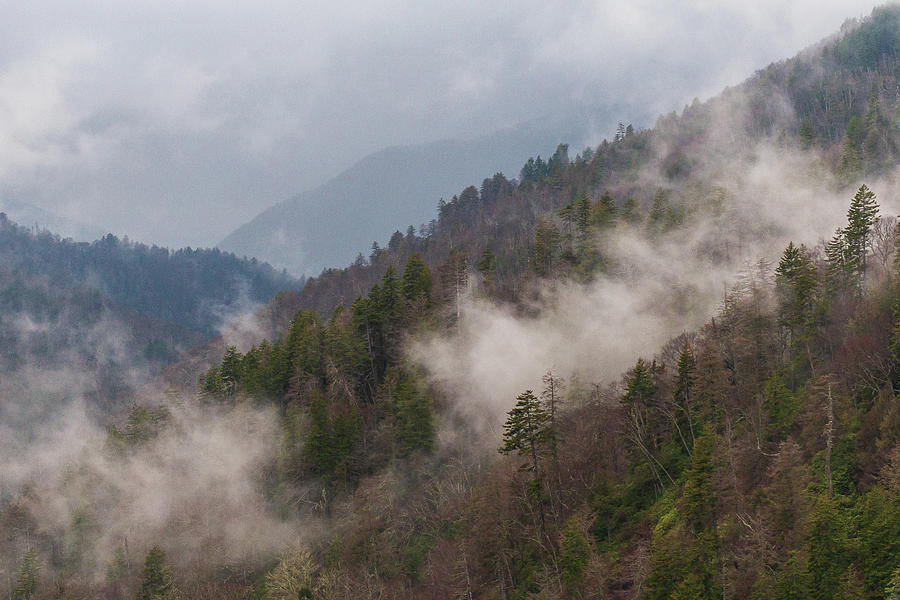 Misty Mountains Photograph by Stefan Mazzola
