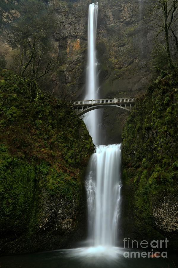 Misty Multnomah Afternoon Photograph by Adam Jewell