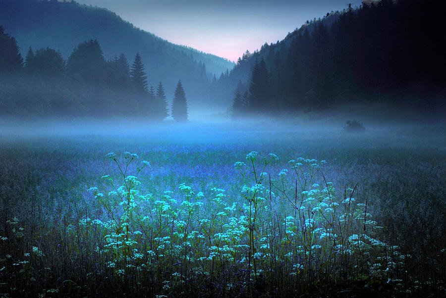 Misty night in Croatian Village Photograph by Don Wolf